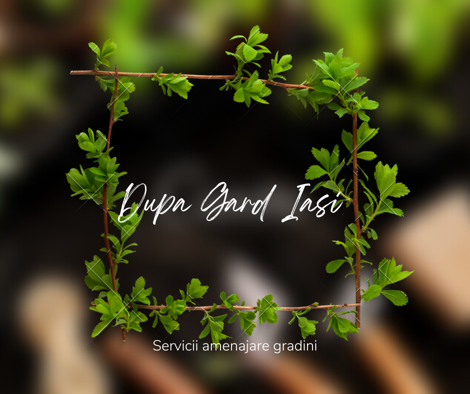 Echipa Dupa Gard la lucru